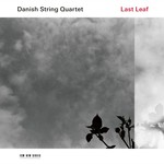 Last Leaf (LP) cover