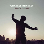 Black Velvet cover