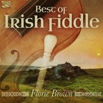 The Best Of Irish Fiddle cover
