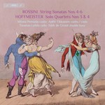 Rossini / Hoffmeister: Quartets with Double Bass, Vol. 2 cover