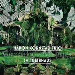 Im Treibhaus (LP) cover