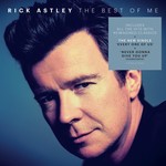 The Best Of Me (LP) cover