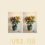 April / 月音 (LP) cover