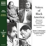 Voices Of Black America cover