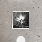 Empty (LP) cover