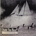 Didn't You Hear? (LP) cover