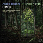 Anton Bruckner & Michael Haydn: Motets cover