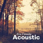 Acoustic cover