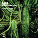 Bach: Sonates en trio, BWV 525-530 cover