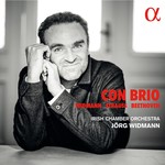 Widmann, Strauss & Beethoven: Con brio cover
