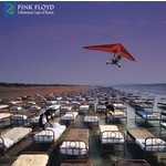 A Momentary Lapse Of Reason - Remixed & Updated (LP) cover