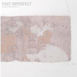 Past Imperfect: The Best Of Tindersticks 92 - 21 (Deluxe CD) cover