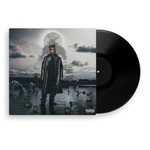 Fighting Demons (Double LP) cover