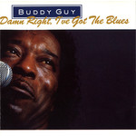 Damn Right I've Got The Blues (LP) cover