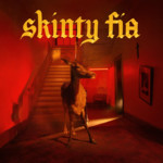 Skinty Fia cover