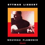 Nouveau Flamenco cover