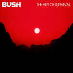 The Art Of Survival cover