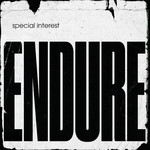Endure (LP) cover