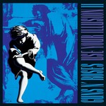 Use Your Illusion II (LP) cover