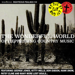 The Wonderful World Of Depressing Country Music cover