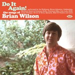 Do it Again! - The Songs of Brian Wilson cover