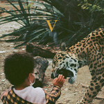 V (LP) cover