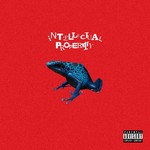 Intellectual Property cover