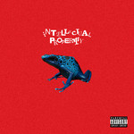 Intellectual Property (12" ) cover