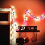 Clear Pond Road (LP) cover