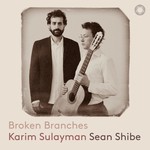 Broken Branches cover