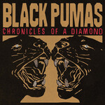 Chronicles Of A Diamond (Indie Vinyl LP) cover