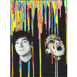 A Steady Drip, Drip, Drip (Limited Edition, Hardcover Book) cover