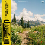 Grim Iconic…(Sadistic Mantra) (Limited Edition Clear Vinyl LP) cover