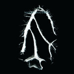 Everything Squared cover