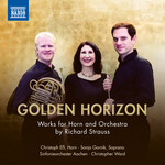 Golden Horizon cover