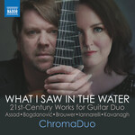 What I Saw in the Water cover