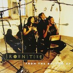 From The Bottom Up (LP) cover