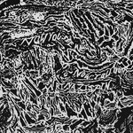 Now You See Me, Now You Don't (LP) cover