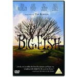 Big Fish cover