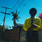 Moving Day (LP) cover