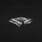 To Pimp A Butterfly (10 Year Anniversary Edition LP) cover