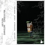 Like Flesh (Live) cover