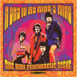 A Day In My Mind's Mind: The Kiwi Psychedelic Scene cover