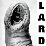 The Power Of Lard (Limited White Vinyl LP) cover