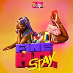 Fine Ho, Stay (Limited Edition LP) cover