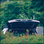 Pareidolia (LP) cover