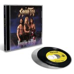 Break Like The Wind cover