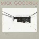 In Pas(S)Ing (LP) cover