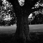 A New Place 2 Drown (10th Anniversary Instrumentals Edition) cover