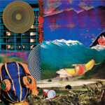 Family Fruit (LP) cover